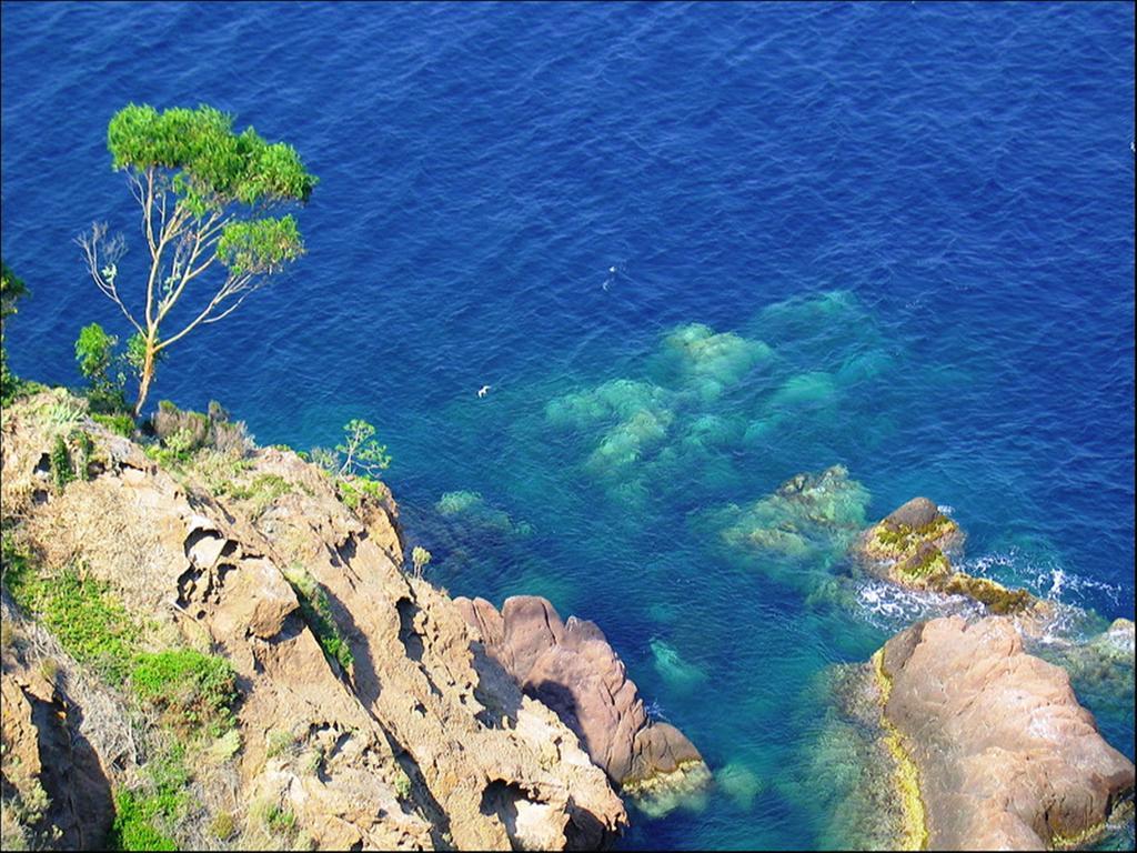 Vacanceole - Les Calanques Du Parc Fréjus Exterior foto